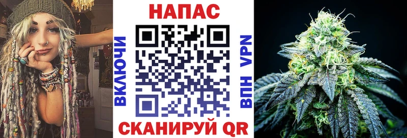Конопля планчик  Новая Усмань 